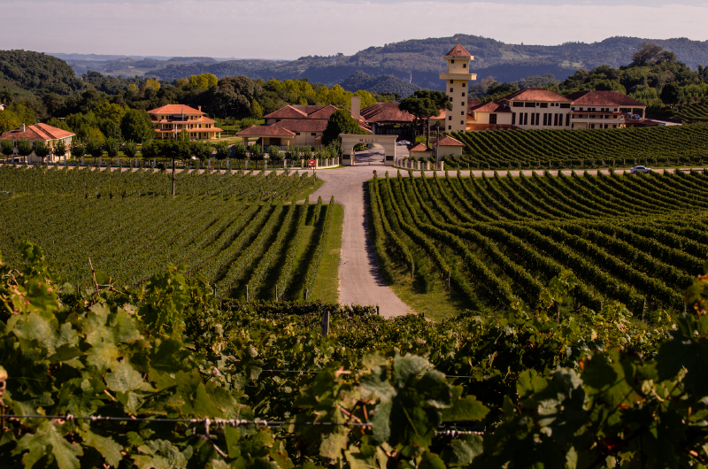  Tour Gran Reserva – Vale dos Vinhedos