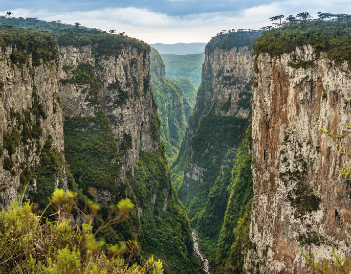 Tour pelo Cânion Itaimbezinho com Piquenique