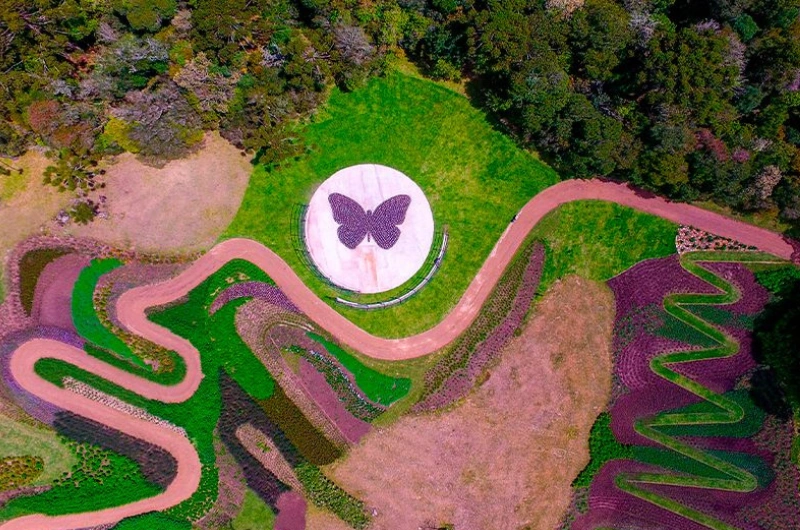  Mátria Parque das Flores – um espetáculo da natureza na Serra Gaúcha